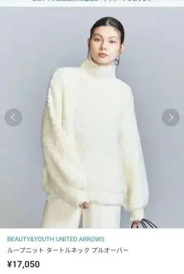 BEAUTY&YOUTH 루프 니트 터틀넥 풀오버