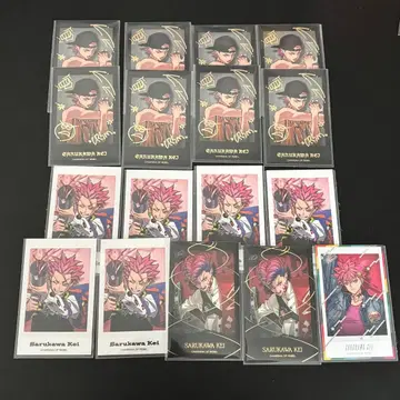 사루카와 케이 폴라로이드 모음