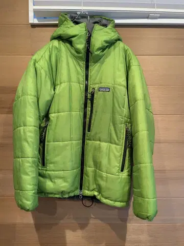 [초레어 XSsize] 파타고니아 더스 파카 게코 그린