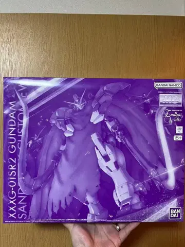 MG 1/100 건담 산드로크 개조 EW