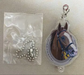 슈발그랑 연결되는 아크릴 참 하츠클라이 산구