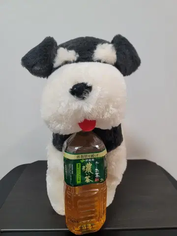 슈나와 밥 스탠드업 울트라 BIG 봉제 인형