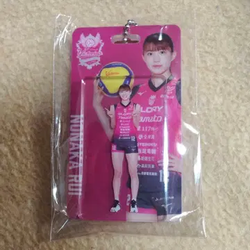 빅토리나 히메지 노나카 루이 미니 패키지풍 참