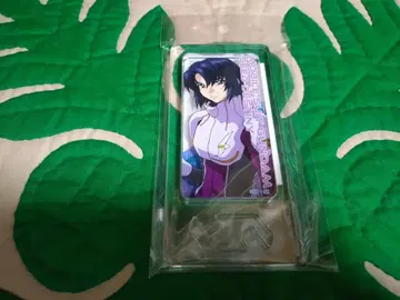 아스란 자라 도미테리아 건담 SEED DESTINY