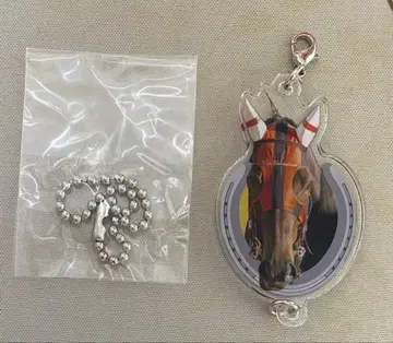 윈바리아시온 연결 아크릴 참 하츠클라이 산구