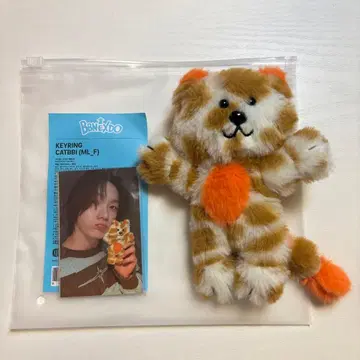 BOYNEXTDOOR 성호 푸넥도 CATBBI 인형 키링