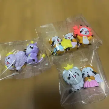 구하기 어려움! 라스칼 코스 별자리 마그넷 전반 6개 별자리