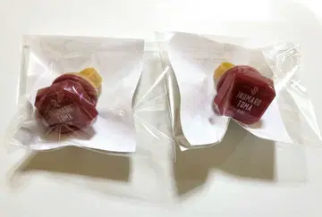 아이나나 이누마루 토마 10주년 링 라이트 2점 세트