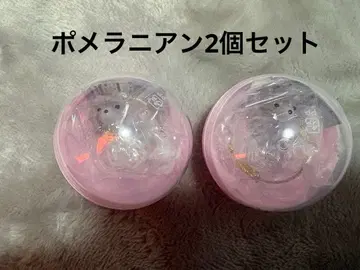 우리 아이 털뭉치 캡슐 토이 포메라니안 2개 세트