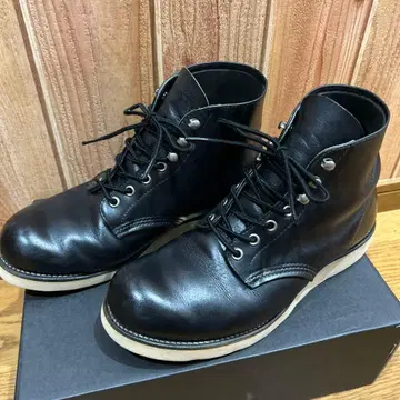 아이리쉬 세터 8165 레전드