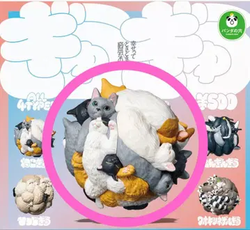 팬더의 구멍 꽉꽉 고양이