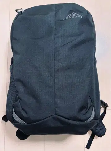 그레고리 루나 18