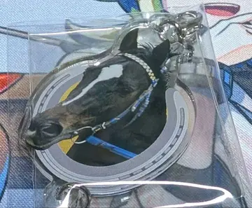 netkeiba 이어지는 아크릴 참 하츠 클라이