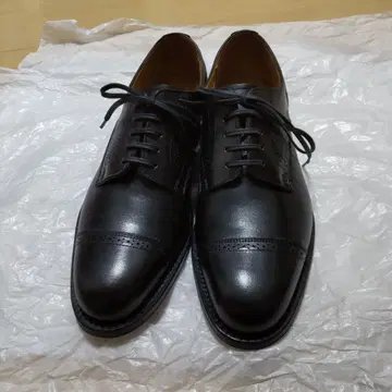 셰틀랜드 폭스 외 날개