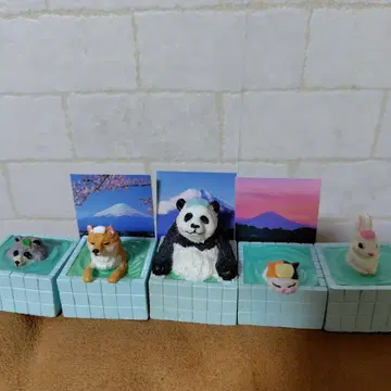 유유히 센토 가챠 팬더 시바견 삼색 고양이 토끼 너구리 5종 세트