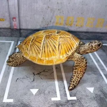 슐라이히 바다거북