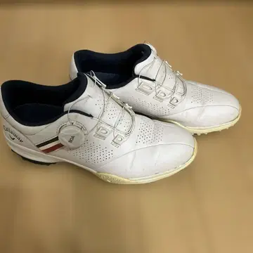 캘러웨이 골프화 여성용 화이트