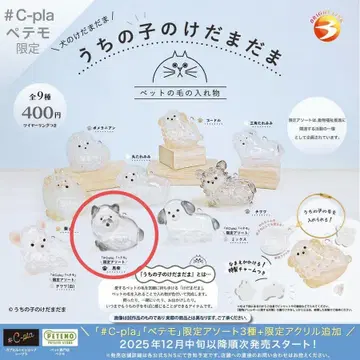 우리 아이 털뭉치 블랙 시바견 (오류 상품)