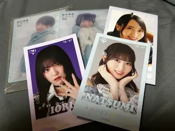 노이메 이코라브 묶음 판매