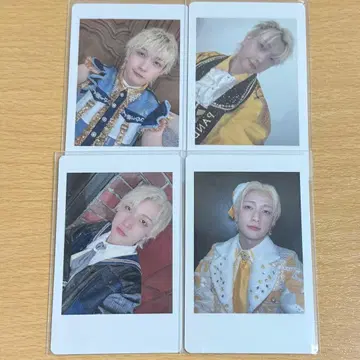 팬더드래곤 요타 하피카 2