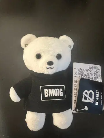 BE:FIRST JUNON BMSG 곰(소)