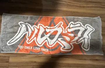 하루카미라이 타월