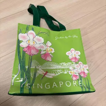 싱가포르 에코백 가든스 바이 더 베이