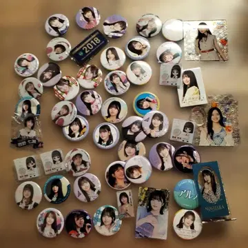 노기자카46 캔뱃지