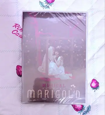 [ DVD 미개봉 ] 뮤지컬 [ 마리 골드 ]