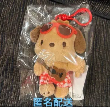 일광화상 포차코 하와이 한정판