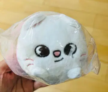 SKZOO 미니 백참 jiniret