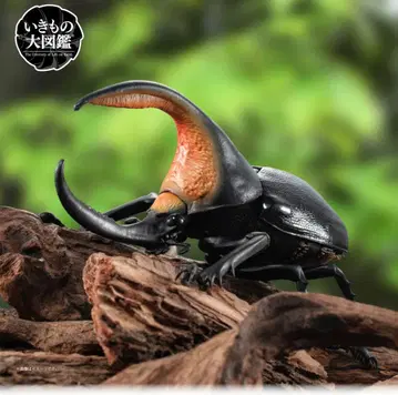 생물대도감 사탄가부토 미개봉 새상품