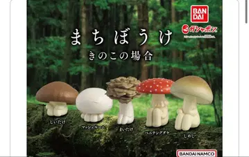 기다림 버섯의 경우 5체 세트 (베니텐구버섯 외 4종류 중 시메지 2체)