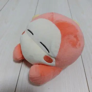 와돌디 쌔근쌔근 프렌즈 s 사이즈