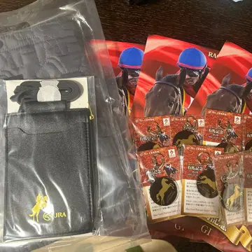 고쿠라 경마장 아리마 기념 12/28