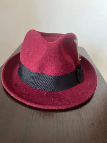 울 햇 버건디 깃털 포함