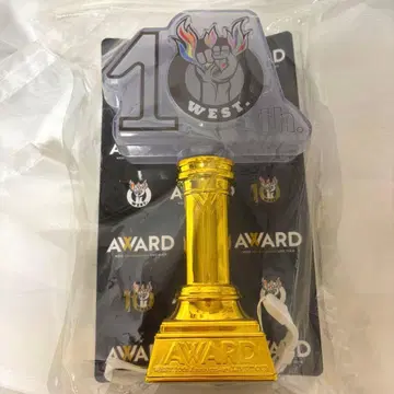 WEST. AWARD 응원봉