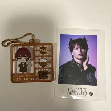 초특급 마사히로 플라스틱 모델풍 키링, 미니 사진 2개 세트