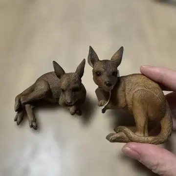 캥거루 피규어 세트