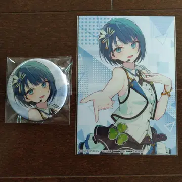 프로세카 CD 앨범 혜택 배지 카드 모어모어점프 오동나무 하르카