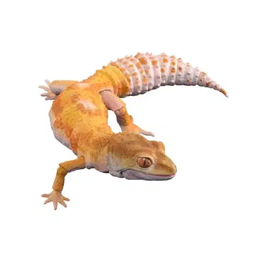 생물대도감 어드밴스 레오파드 게코 트렌퍼 알비노