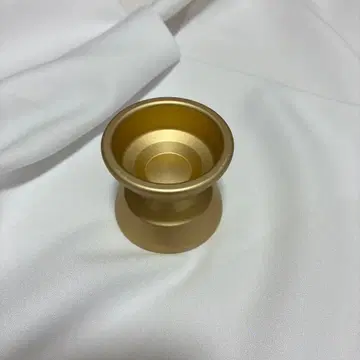 와일드 와일더니스