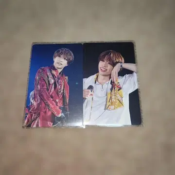 우라시마사카타센 미니 사진 카드 사후 통신판매 WARN12G 센라