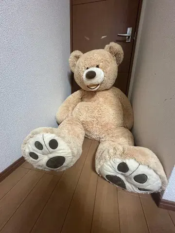 코스트코 곰 봉제 인형