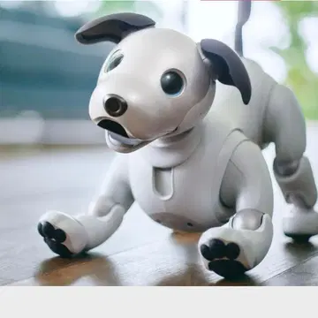 aibo 충전 도크 세트