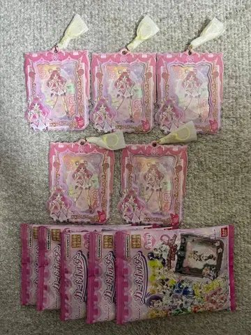 프리큐어 카드 홀더 큐어 드림 프리큐어 5GoGo 프리큐어