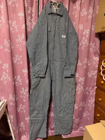 Dickies 스트라이프 오버롤 5L