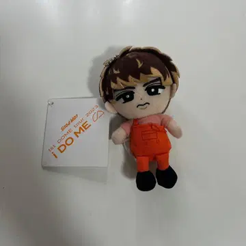 SnowMan 무카이 코지 치비 누이