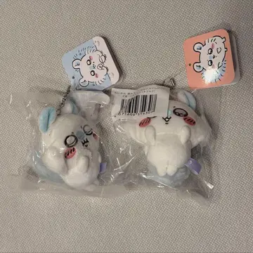 칭찬해 줘! 모몽가 가득 복권 E상 2종