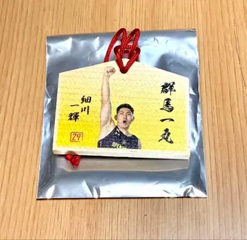 군마 클레인썬더즈 친필 미니 에마 #29 호소카와 카즈키